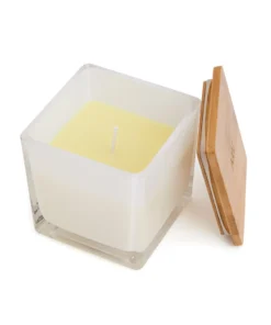 Mattnat Candles Good Reputation Large Soy Candle